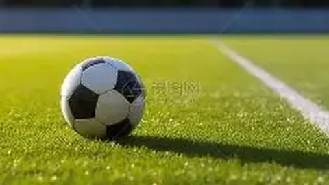 李梓嘉亚锦赛受伤退赛，复出待定，马来西亚羽协力促改革新战略！