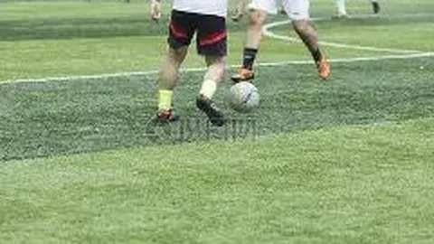 坦桑尼亚对阵列支敦士登，专家半全场比分预测